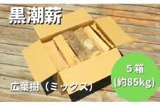 【 数量限定 】 薪ストーブ や アウトドア に！黒潮薪本舗の 黒潮薪 5箱（合計 約85kg） 薪 まき マキ 焚き火 たき火 木 広葉樹 ストーブ 暖炉 キャンプ バーベキュー 木材 冬 国産 高知 四万十 しまんと【発送期間：2025年8月～2026年3月31日まで】25-266