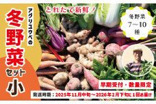 【 早期受付 数量限定 】 とれたて 新鮮 農家直送 アグリユウベの冬野菜セット (小) 国産 野菜セット 野菜便 やさい 野菜 冬野菜 ベジタブル 産地直送 国産 旬 高知県 四万十市 四万十 しまんと 【2025年11月中旬～2026年2月下旬に１回発送】25-397