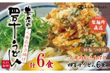 R5-797．【数量限定】四万十うどんと人参のかき揚げ６食セット