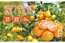 【早期受付・数量限定】農家直送！四万十みかん《おふくろさん》3kg 家庭用 予約 先行 先行受付 早期 早期受付 数量限定 2025年配送 家庭用 甘い あまい 旬 温州 温州みかん みかん 蜜柑 ミカン オレンジ フルーツ 果物 くだもの ジューシー 柑橘 四万十市 四万十 しまんと 高知県 高知 南国 土佐 四国 産地直送 農家直送 【2025年11月中旬より順次配送】25-550