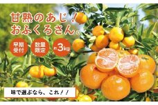【早期受付・数量限定】農家直送！四万十みかん《おふくろさん》3kg 家庭用 予約 先行 先行受付 早期 早期受付 数量限定 2025年配送 家庭用 甘い あまい 旬 温州 温州みかん みかん 蜜柑 ミカン オレンジ フルーツ 果物 くだもの ジューシー 柑橘 四万十市 四万十 しまんと 高知県 高知 南国 土佐 四国 産地直送 農家直送 【2025年11月中旬より順次配送】25-550