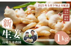 24-746．【早期受付・期間限定】みずみずしさがたまらない！新生姜約1kg【2025年5月下旬～9月上旬配送】