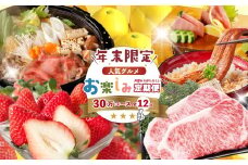 【年末限定】 12回 定期便 四万十 人気 グルメ お楽しみ定期便 しまんと ふるさと 30万円 今だけ 年末 限定 肉 いちご 文旦 うなぎ 牛肉 パン まぐろ マグロ かつお フルーツ 人気グルメ ごちそう 贅沢 豪華 高知 四万十市 25-618