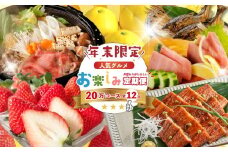 【年末限定】 12回 定期便 四万十 人気 グルメ お楽しみ定期便 しまんと ふるさと 20万円 今だけ 年末 限定 肉 いちご 文旦 うなぎ 牛肉 パン まぐろ マグロ かつお フルーツ 人気グルメ ごちそう 贅沢 豪華 高知 四万十市 25-616