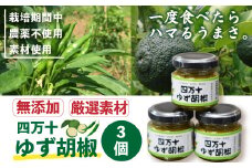 R5-168．四万十ゆず胡椒3個セット