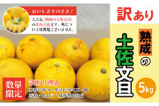 【訳あり・数量限定】熟成の土佐文旦5kg 家庭用 訳あり 訳アリ わけあり 大人気 人気 リピーター 予約 先行 先行受付 早期 家庭用 早い者勝ち 国産 産地直送 限定 旬 文旦 ぶんたん ブンタン フルーツ 果物 柑橘 5kg オススメ 四万十市 四万十 しまんと 高知県 高知 南国 土佐 四国 産地直送 農家直送 お取り寄せ 送料無料【2026年3月上旬～無くなり次第終了】25-553