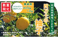 【 早期受付 期間限定 】 栽培期間中農薬・化学肥料不使用！ 四万十 の 柚子 約1.5～2kg（8～15個） 国産 自然栽培 オーガニック 限定 高知 しまんと 旬 ゆず ユズ フルーツ 果物 柑橘 新鮮 料理 ゆず風呂 産地直送 お取り寄せ 予約 2025年11月初旬～下旬 25-918