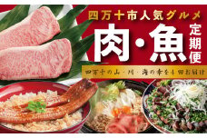 R6-067．【4ヵ月連続定期便】四万十市人気魚介＆お肉返礼品