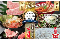 R6-068．【7ヵ月連続定期便】四万十市人気魚介＆お肉返礼品
