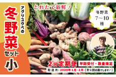 【 2回定期便 早期受付 数量限定 】 とれたて 新鮮 農家直送 アグリユウベの冬野菜セット (小) 国産 野菜セット 野菜便 やさい 野菜 冬野菜 ベジタブル 産地直送 国産 旬 高知県 四万十市 四万十 しまんと 定期便 【配送月：2026年1月・2月】25-398