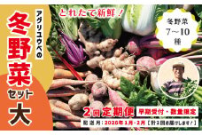 【 2回定期便 早期受付 数量限定 】 とれたて 新鮮 農家直送 アグリユウベの冬野菜セット (大) 国産 野菜セット 野菜便 やさい 野菜 冬野菜 ベジタブル 産地直送 国産 旬 高知県 四万十市 四万十 しまんと 定期便 【配送月：2026年1月・2月】25-985