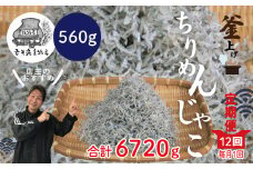R6-753．【12回定期便】老舗海産物店の土佐黒潮こだわりちりめんじゃこ560g（計6.72kg）