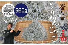 R6-001．【3回定期便】老舗海産物店の土佐黒潮こだわりちりめんじゃこ560g【2カ月に1回お届け】（計1.68kg）