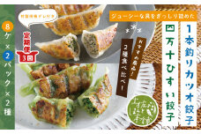 R6-1026．【3回定期便】家(うち)に来る“高知” ジューシーな具をぎっしり詰めた手づくり!!　四万十ひすい餃子・一本釣りかつお餃子（8ヶ×2パック×2種）・たれ付き　にんにく不使用！