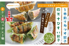 R6-1027．【3回定期便】家(うち)に来る“高知” ジューシーな具をぎっしり詰めた手づくり!!　四万十ひすい餃子・一本釣りかつお餃子（8ヶ×4パック×2種）・たれ付き　にんにく不使用！