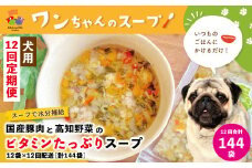 R6-432．【12回定期便】いつものごはんにかけるだけ！国産豚肉と高知野菜のビタミンたっぷりスープ 12袋セット×12回配送（合計144袋）【ペットフード】
