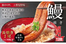 R6-1061．【12回定期便】お楽しみ企画 12ヵ月連続＜四万十食品＞うなぎ蒲焼 長焼2尾／ＢＣ