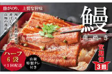 R6-630．【3回定期便】＜四万十食品＞うなぎ蒲焼　ハーフ６袋／ＣＤ【3回お届け】