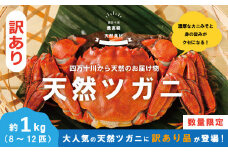 【 訳あり 数量限定 】 天然 ツガニ 約 1kg （8～12匹） 訳アリ 訳あり品 濃厚 うまみ 魚介 蟹 かに カニ つがに モクズガニ もくずがに 人気 リピーター お取り寄せ だし 味噌汁 炊き込みごはん 四万十川 グルメ 高知県 高知 四万十市 四万十 しまんと 24-030W