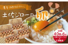 【定期便6回】濃厚でコクのある味わい！のびのび育った土佐ジローの自然卵40個（10個入り×4パック）【合計240個】卵 玉子 たまご 鶏卵 土佐ジローの卵 土佐ジロー 自然卵 新鮮 旨味 濃厚 コク おいしい 自慢 こだわり卵 高知 高知県 四万十市 産地直送 送料無料 25-1016