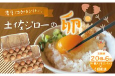 【定期便6回】濃厚でコクのある味わい！のびのび育った土佐ジローの自然卵20個（10個入り×2パック）卵 玉子 たまご 鶏卵 土佐ジローの卵 土佐ジロー 自然卵 新鮮 旨味 濃厚 コク おいしい 自慢 こだわり卵 高知 高知県 四万十市 産地直送 送料無料 【合計120個】 25-1014