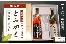 四万十 「梅の酒とみやま」 飲み比べ セット 辛口 おいしい アルコール分 14度 梅酒 青梅 清酒 純米酒 日本酒 お酒 酒 酒蔵 晩酌 誕生日 お祝い 父の日 母の日 敬老の日 贈り物 プレゼント ギフト 高知 高知県 四万十 四万十市 しまんと 25-476