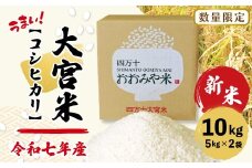【令和7年産 新米 早期受付 数量限定】 四万十 の 米どころ 山間地域で育てた 大宮米 コシヒカリ 10kg 高知県 高知 しまんと 国産 お米 米 白米 精米 こしひかり 低農薬栽培 ご飯 産地直送 【2025年9月中旬より順次配送】25-305