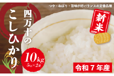 米 10kg 【 新米 令和7年産 】 四万十 の こしひかり 5kg ×2袋 国産 1等米 予約 コシヒカリ 精米 お米 白米 ごはん ご飯 おいしい ふっくら もちもち 高知県 高知 四万十市 しまんと 土佐【2025年9月より順次配送】25-149