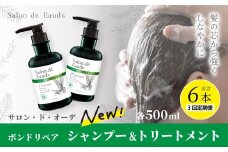 3回 定期便 サロン・ド・オーデ ボンドリペア シャンプー ＆ トリートメント 各 500ml 2本 セット 合計 6本 ダメージ補修 ボトル 液体 アロインス製薬 美容 美容品 化粧品 日用品 消耗品 高知 高知県 四万十 四万十市 しまんと 25-139