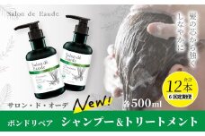 6回 定期便 サロン・ド・オーデ ボンドリペア シャンプー ＆ トリートメント 各 500ml 2本 セット 合計 12本 ボトル 液体 アロインス製薬 美容 美容品 化粧品 日用品 消耗品 高知 高知県 四万十 四万十市 しまんと 25-140