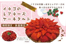 数量限定 期間限定 イチゴ たっぷり！イチゴの レアチーズ タルト 国産 冷凍 フルーツ 果物 いちご 苺 ストロベリー レアチーズケーキ チーズケーキ ケーキ 焼菓子 洋菓子 菓子 デザート スイーツ 高知 南国 四万十 しまんと 限定【2026年1月中旬～4月下旬配送】25-504