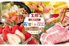【年末限定】 12回 定期便 四万十 人気 グルメ お楽しみ定期便 しまんと ふるさと 30万円 今だけ 年末 限定 肉 いちご うなぎ 牛肉 パン まぐろ マグロ かつお 人気グルメ ごちそう 贅沢 豪華 高知 四万十市 R7-618