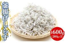 しらす 小分け 冷凍 土佐名産 釜揚しらす600g(200g×3) 釜揚げ しらす丼 魚 シラス 魚介 tk-0011