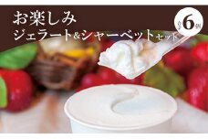ドルチェかがみ お楽しみジェラート＆シャーベットセット 6個入り dc-0020