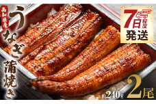 うなぎ 蒲焼き 国産 120g 2尾 鰻 うなぎ蒲焼 おいしい 冷凍 無頭 セット うなぎ屋きた本 - ウナギ 鰻 うなぎ大好き 夕飯 贅沢 ご褒美 贈り物 贈答 お礼 惣菜 魚介 加工品 加工食品 おかず お手軽 冬うなぎ 7日程度 un-0014