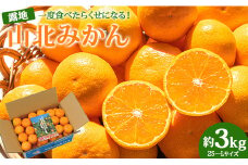 山北みかん 3kg 【10月下旬より順次配送】 みかん ブランドみかん 山北蜜柑 山北ミカン 小玉みかん mikan m mサイズ ｓ sサイズ 一度食べたらくせになる！ ミカン職人 果物 フルーツ 小玉 美味しい  高知県産 (露地栽培 2S～Lサイズ） 甘い - 温州みかん ミカン 蜜柑 柑橘 甘い 1万円 10000円 お取り寄せ ku-0042