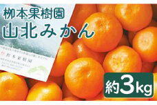 みかん 3kg  ss (露地・2S～M) 栁本果樹園 - 果物 柑橘 ミカン 蜜柑 フルーツ yg-0006