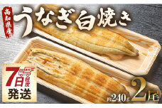 うなぎ白焼 国産 鰻 2尾✕120g セット うなぎ屋きた本 (無頭) - 白焼き うなぎ ウナギ 魚介 惣菜 おかず 山椒塩 ギフト のし 贈り物 プレゼント 贈答 丑の日 うなぎ屋きた本 高知県 香南市 冷凍  un-0017