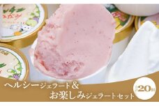 ドルチェかがみ ヘルシージェラート&お楽しみジェラートセット 20個入り dc-0029