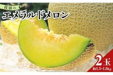 【先行予約】＜ブランドメロン＞エメラルドメロン 2玉 メロン ja マスクメロン めろん 2玉 果物 くだもの フルーツ 甘い デザート 贈答 ギフト プレゼント 産直 産地直送 高知県 青肉 yu-0025