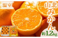 みかん 小玉 大玉混合 1.2kg 【ブランドみかん】 山北みかん 温室みかん ハウスみかん ミカン 先行受付 高知県 山北温室みかん7月/8月発送 甘い 秀品 温室ミカン おんしつみかん 温州みかん 1.2kg 果物 柑橘 1万円以上 10000円以上 ミカン 蜜柑 フルーツ ku-0021