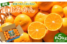 山北みかん 5kg 【10月下旬より順次配送】 みかん ブランドみかん みかん 5ｋｇ 山北蜜柑 山北ミカン 小玉みかん mikan m mサイズ ｓ sサイズ 一度食べたらくせになる！ ミカン職人 果物 フルーツ 小玉 美味しい 高知県産 (露地栽培 2S～Lサイズ） 甘い - 温州みかん ミカン 蜜柑 柑橘 甘い 1万円以上 10000円以上 お取り寄せ ku-0043