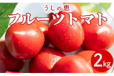 【先行受付】野菜ソムリエのフルーツトマト2kg - 野菜 フルーツトマト とまと 産地直送 うしの恵 トマト mj-0020