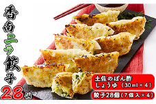 にら餃子 餃子 ニラのまち香南市 香南ニラ餃子28個 tw-0006