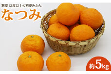 なつみ 5kg みかん 糖度12度以上の初夏 ku-0028