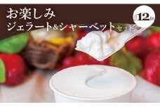ドルチェかがみ お楽しみジェラート＆シャーベットセット 12個入り dc-0063