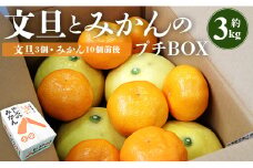 文旦とみかんのプチBOX 約3kg - 果物 くだもの フルーツ 柑橘類 ぶんたん ブンタン ミカン 詰め合わせ つめあわせ セット 食べ比べ お楽しみ おいしい 特産品 ms-0040