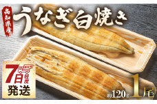うなぎ白焼き120g 1尾(無頭) 7日程度 un-0016