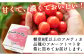 梱包イメージ
