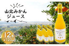 山北みかんジュース720ml12本 - 果汁100％ 高知県産 ブランドみかん 温州みかん ストレートジュース 果物 フルーツ 柑橘 オレンジ yk-0053